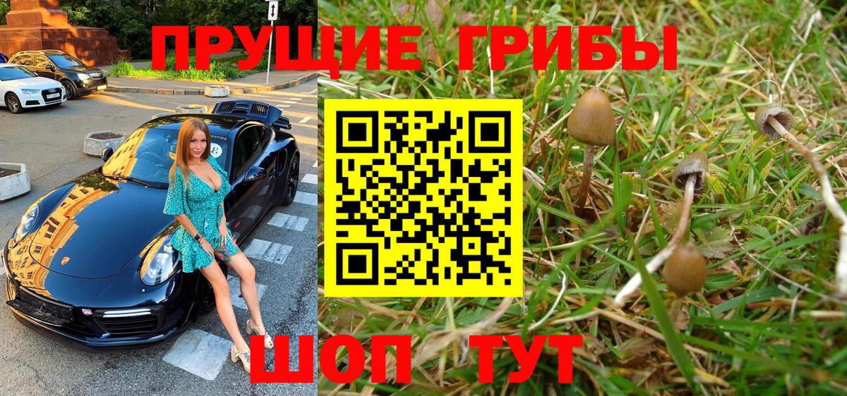 Галлюциногенные грибы Psilocybine cubensis Россошь